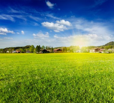 Countryside meadow field with sun and blue sky clipart