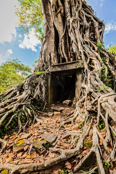 Templo de Sambor Prei Kuk ruínas, Camboja — Fotografia de Stock