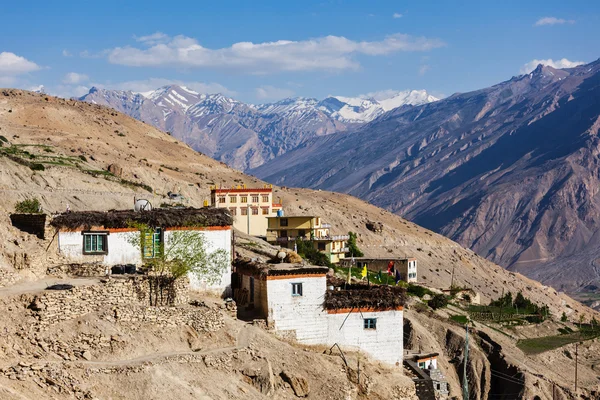 Dhankar village, Spiti valley — Stock Photo, Image