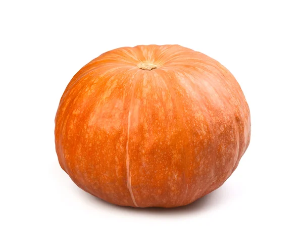 Calabaza aislada — Foto de Stock