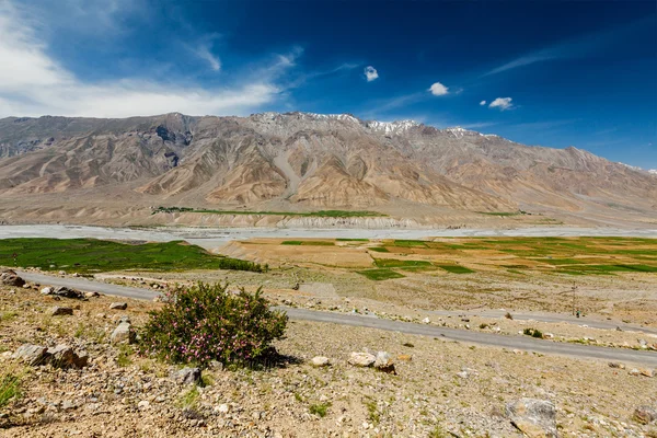 Himalayalar 'da yol — Stok fotoğraf