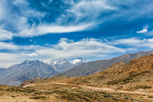 Krajobraz himalajski — Zdjęcie stockowe