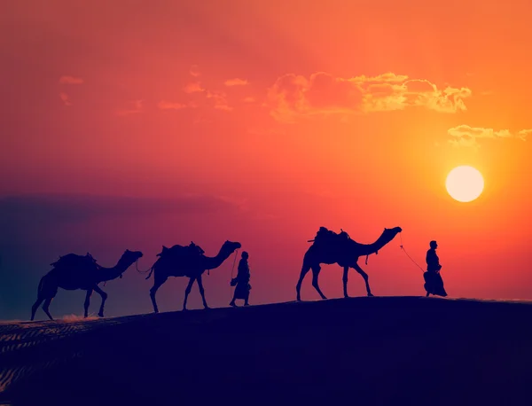 Twee cameleers met kamelen in duinen van thar deser — Stockfoto