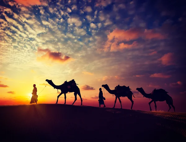 Two cameleers with camels in dunes of Thar deser — Stock Photo, Image