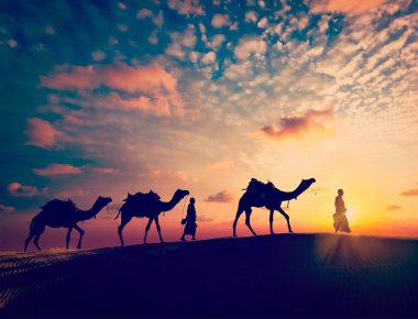 İki cameleers deve sürücüleri deve tepeleri ile