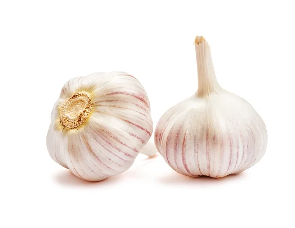 Knoblauch isoliert — Stockfoto