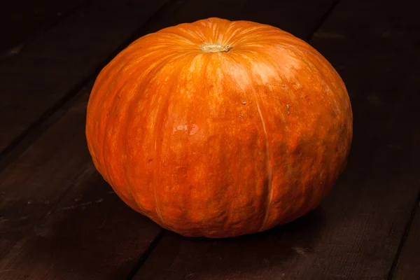 Calabaza — Foto de Stock