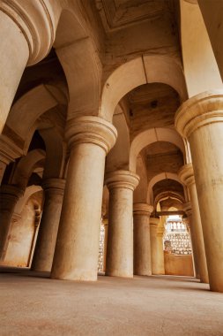 Sütunları Thanjavur Sarayı