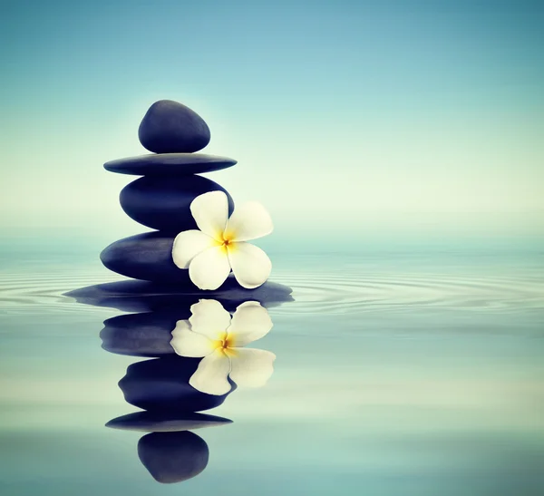 Zen stones with frangipani — Stock Photo, Image