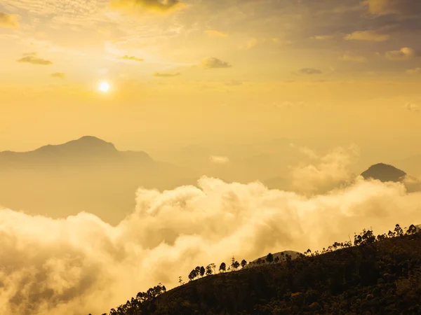 Hory v mracích. Kodaikanal, tamil nadu — Stock fotografie