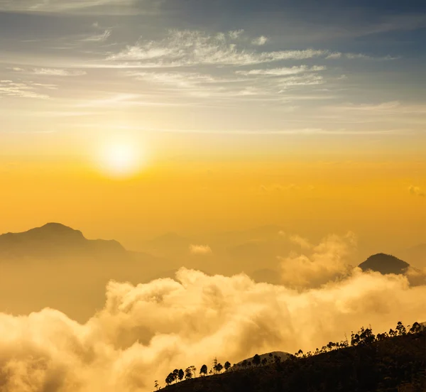 Hory v mracích. Kodaikanal, tamil nadu — Stock fotografie