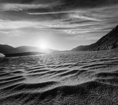 kum tepeleri. nubra Vadisi, ladakh, Hindistan
