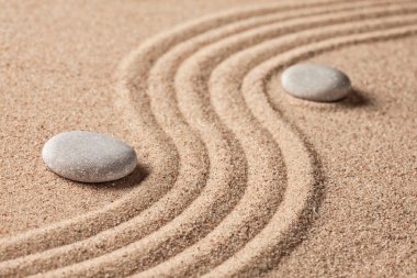 Japon Zen taş Bahçe