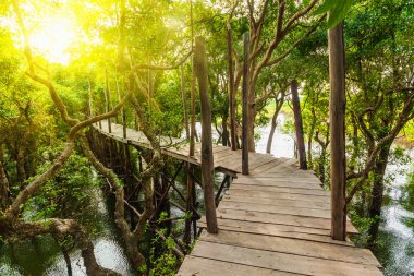 Wooden bridge in rain mangrove forest jungle clipart