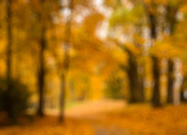 Defocused suddiga hösten bakgrund — Stockfoto