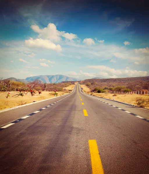 Camino en el desierto —  Fotos de Stock