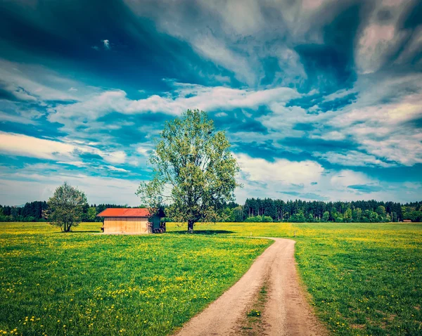 Sommaräng — Stockfoto