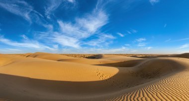 Panorama of dunes in Thar Desert, Rajasthan, India clipart