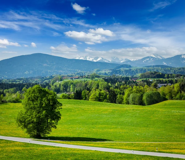 Strada nella campagna pastorale — Foto Stock