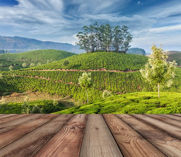 Munnar, Kerala, Hindistan 'daki yeşil çay tarlaları. — Stok fotoğraf