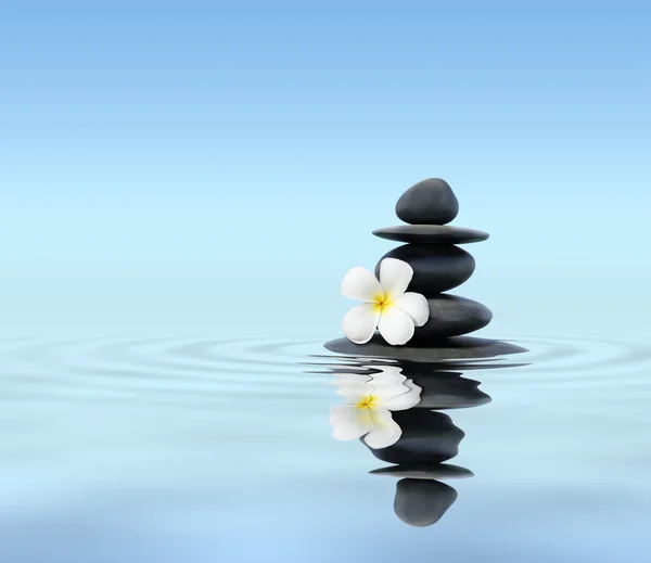 Piedras Zen con frangipani — Foto de Stock