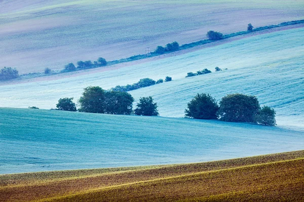 Glooiende landschap van Zuid-Moravië in de ochtend — Stockfoto
