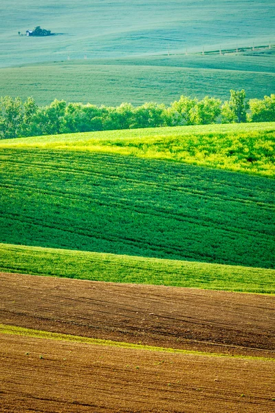 モラヴィアの圧延風景 — ストック写真