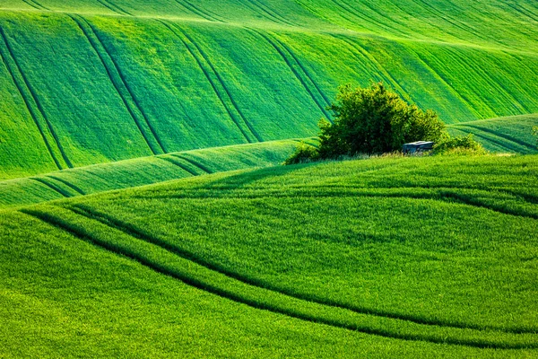 Moravian rolling landscape — Stock Photo, Image