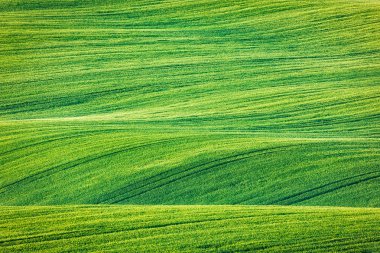 Abstract pattern texture of rolling fields