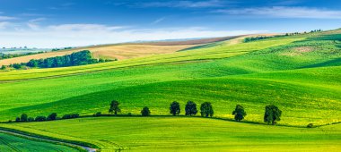 ağaçları ile south Moravia'deki / manzara haddeleme.