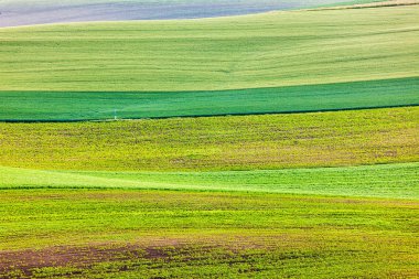 Abstract pattern of rolling fields clipart