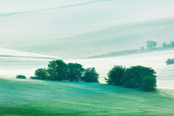 Paisaje ondulado de Moravia del Sur por la mañana —  Fotos de Stock