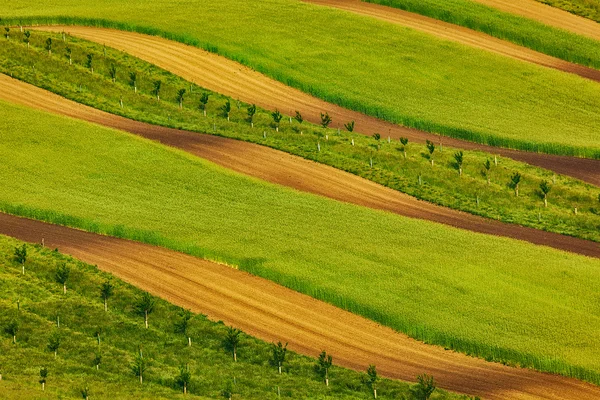 Campi a strisce della Moravia meridionale — Foto Stock