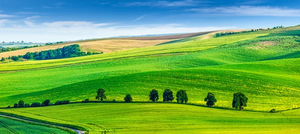 Paysage vallonné de Moravie du Sud avec arbres . — Photo