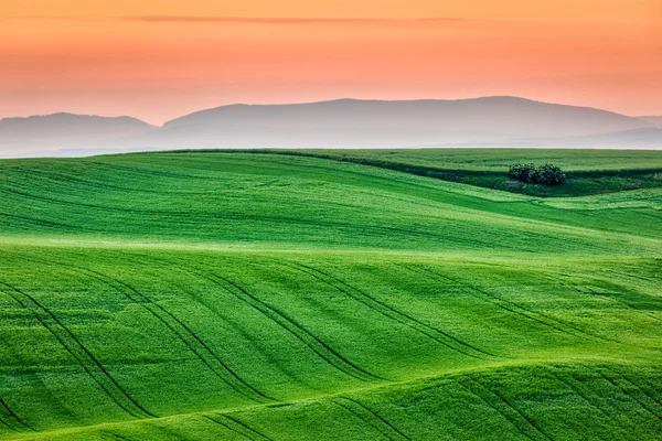 Moravia rolling landscape on sunrise