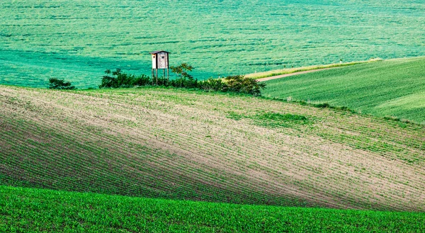 Moravské zvlněné krajině s lov věž shack — Stock fotografie