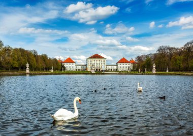 Kuğu ve Nymphenburg Sarayı. Münih, Bavyera, Almanya