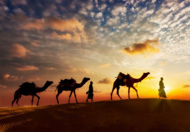 İki cameleers deve sürücüleri Thar çöl dunes içinde deve ile
