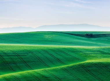 Moravia haddeleme manzara