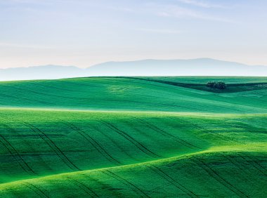 Moravia rolling landscape clipart