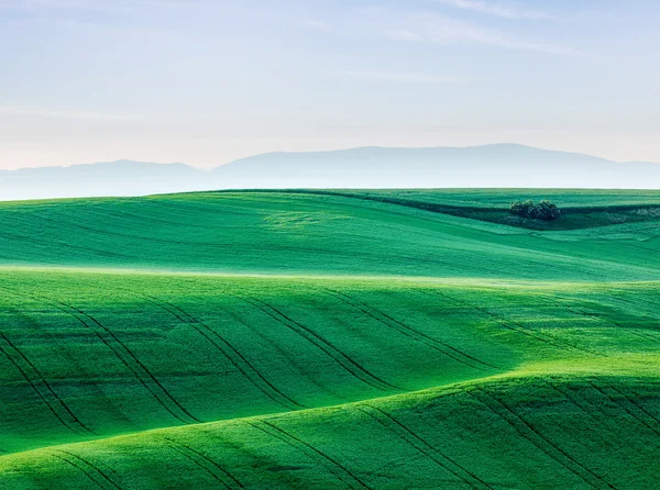 Moravia paisagem rolante — Fotografia de Stock