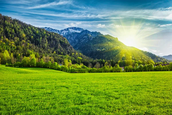 Alpine weide in Beieren, Duitsland — Stockfoto