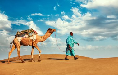 Cameleer deve sürücüsü ile deve Rajasthan, Hindistan