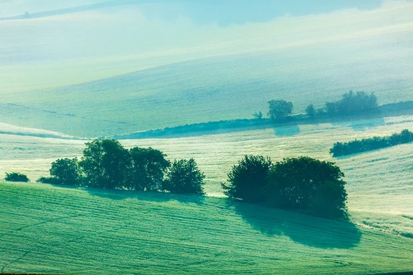 Moravia campos rodantes en la niebla de la mañana —  Fotos de Stock