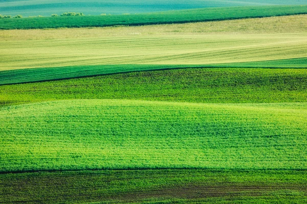 Abstract pattern of rolling fields — Stock Photo, Image