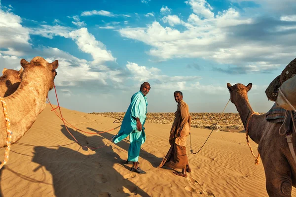 Dois camelôs motoristas de camelos com camelos em dunas de Thar deser — Fotografia de Stock