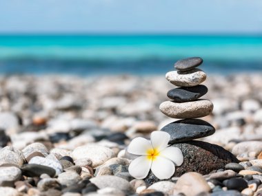 Zen taş yığını plumeria çiçek ile dengeli