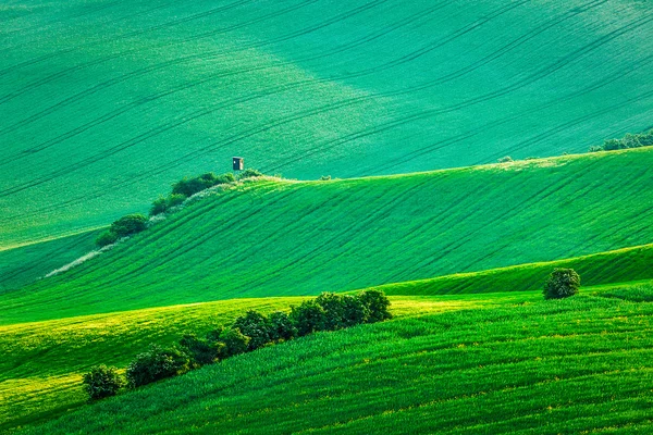 Morawska toczenia krajobraz z polowania wieża shack — Zdjęcie stockowe