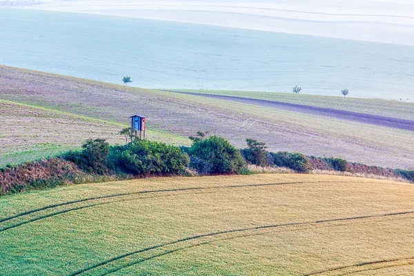 Moravia paisaje rodante con choza torre de caza — Foto de Stock