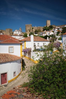 Ortaçağ şatosu, antik şehir duvarları ve pitoresk çatıları olan büyüleyici Obidos kasabası. Portekiz